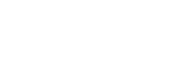 FF NET